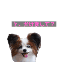 タンプスタンプスタンプ2（個別スタンプ：16）