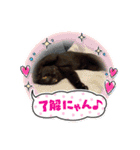 くめけのくろちゃん（個別スタンプ：6）