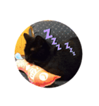 くめけのくろちゃん（個別スタンプ：9）