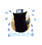 くめけのくろちゃん（個別スタンプ：20）