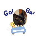 くめけのくろちゃん（個別スタンプ：24）