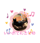 くめけのくろちゃん（個別スタンプ：29）