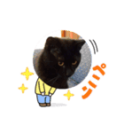 くめけのくろちゃん（個別スタンプ：30）