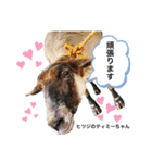 ふれあい動物園のみんなPart 2（個別スタンプ：4）