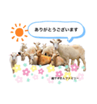 ふれあい動物園のみんなPart 2（個別スタンプ：6）