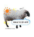 ふれあい動物園のみんなPart 2（個別スタンプ：14）