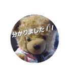 くまのスタンプ2（個別スタンプ：1）