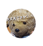 くまのスタンプ2（個別スタンプ：3）
