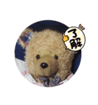 くまのスタンプ2（個別スタンプ：8）
