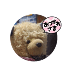 くまのスタンプ2（個別スタンプ：9）