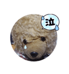 くまのスタンプ2（個別スタンプ：10）