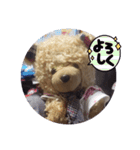 くまのスタンプ2（個別スタンプ：12）