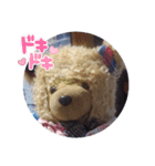 くまのスタンプ2（個別スタンプ：14）