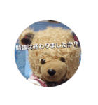 くまのスタンプ2（個別スタンプ：17）