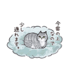 サバトラねこの毎日（個別スタンプ：15）