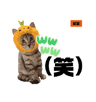 みらいねこ横濱⑦（個別スタンプ：32）