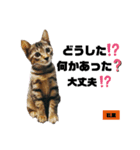 みらいねこ横濱⑦（個別スタンプ：34）
