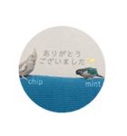 ミンチョップ（個別スタンプ：13）