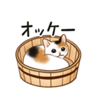 ダジャレ☆猫たちのスタンプ（個別スタンプ：4）
