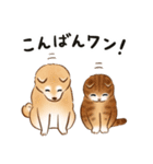 ダジャレ☆猫たちのスタンプ（個別スタンプ：8）