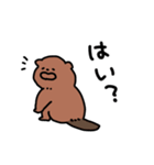 毎日使えるゆるラッコ(敬語)（個別スタンプ：6）