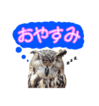 ミミズクのりんちゃん（個別スタンプ：1）