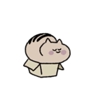 めんどうな猫ちゃん（個別スタンプ：12）