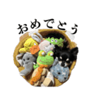 癒しのチワワくん（個別スタンプ：19）