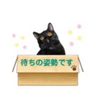 るなぴの日常スタンプ③（個別スタンプ：10）