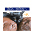 るなぴの日常スタンプ③（個別スタンプ：15）