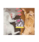 雨汐とガッシーねこーず達の合成スタンプ他（個別スタンプ：9）