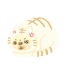 チベタンスパニエルのイラスト（個別スタンプ：1）