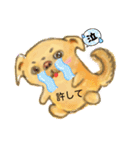 チベタンスパニエルのイラスト（個別スタンプ：6）