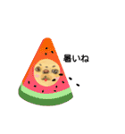 チベタンスパニエルのイラスト（個別スタンプ：32）