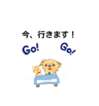 チベタンスパニエルのイラスト（個別スタンプ：36）