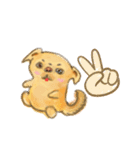 チベタンスパニエルのイラスト（個別スタンプ：39）