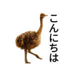 動物園の愉快な仲間たち3（個別スタンプ：2）