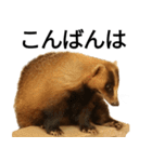 動物園の愉快な仲間たち3（個別スタンプ：3）
