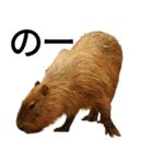 動物園の愉快な仲間たち3（個別スタンプ：15）