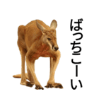 動物園の愉快な仲間たち3（個別スタンプ：26）