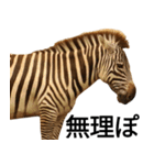 動物園の愉快な仲間たち3（個別スタンプ：27）