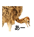 動物園の愉快な仲間たち3（個別スタンプ：29）