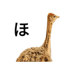 動物園の愉快な仲間たち3（個別スタンプ：32）