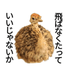動物園の愉快な仲間たち3（個別スタンプ：39）
