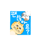 냥이 뭐하냥/なになにニャンコ(韓国語)（個別スタンプ：19）