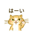 まんちけん猫の毎日のご挨拶（個別スタンプ：5）