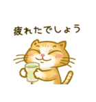 まんちけん猫の毎日のご挨拶（個別スタンプ：19）