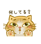 まんちけん猫の毎日のご挨拶（個別スタンプ：24）