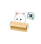 しらたまだんごくん（個別スタンプ：23）