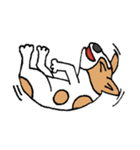 ジャックラッセルテリアちゃん0（個別スタンプ：13）